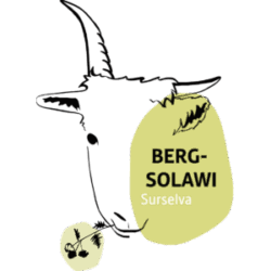 Bergsolawi