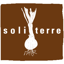 soliTerre, regionale Vertragslandwirtschaft in Bern (BE)